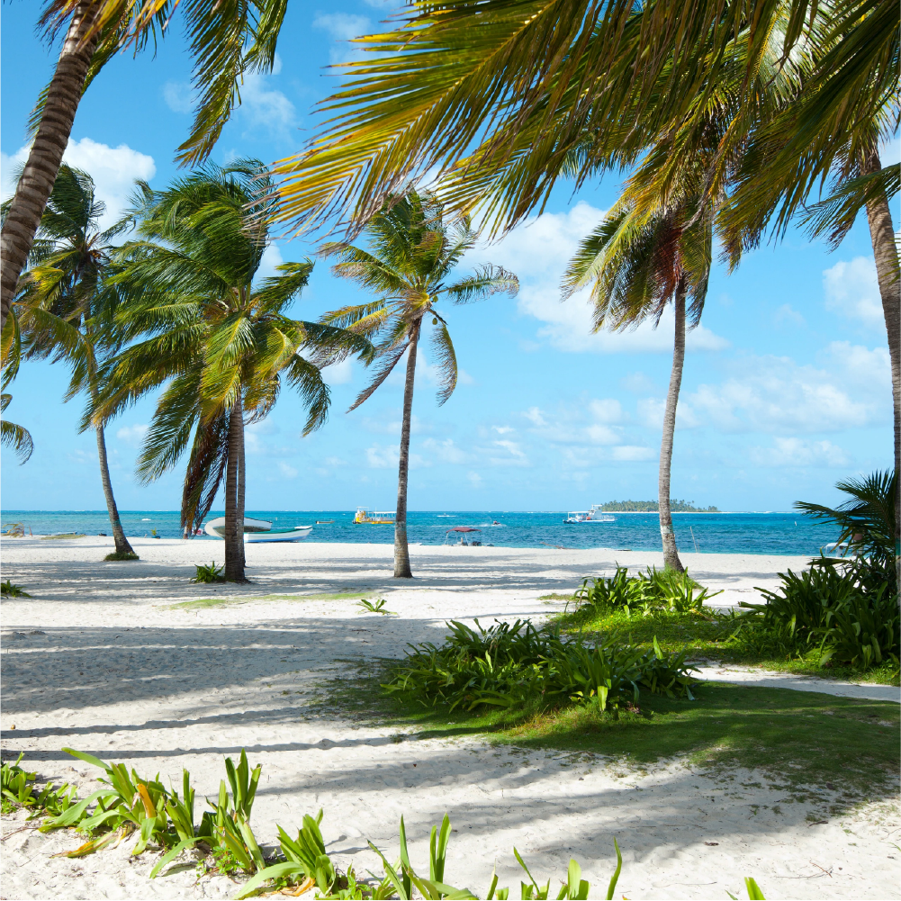 SAN ANDRES 2026 - Image 3