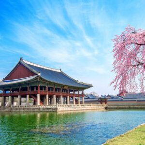 ESENCIAS DE COREA Y JAPON