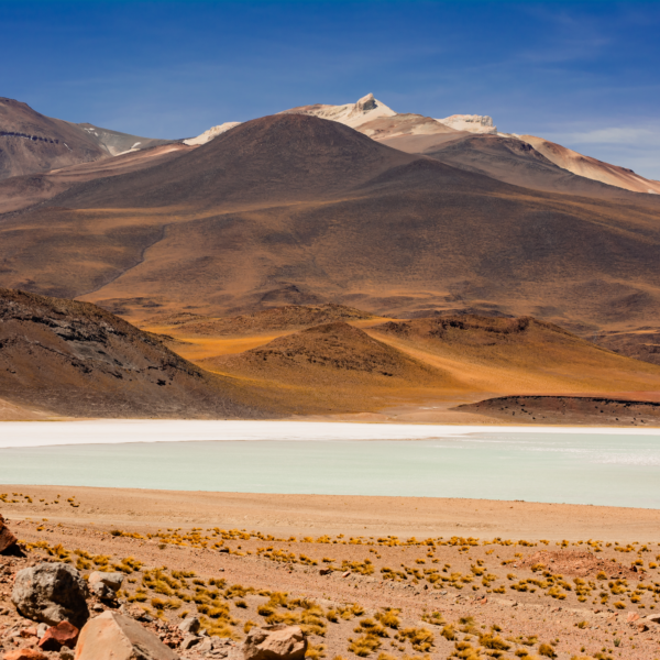 SALTA