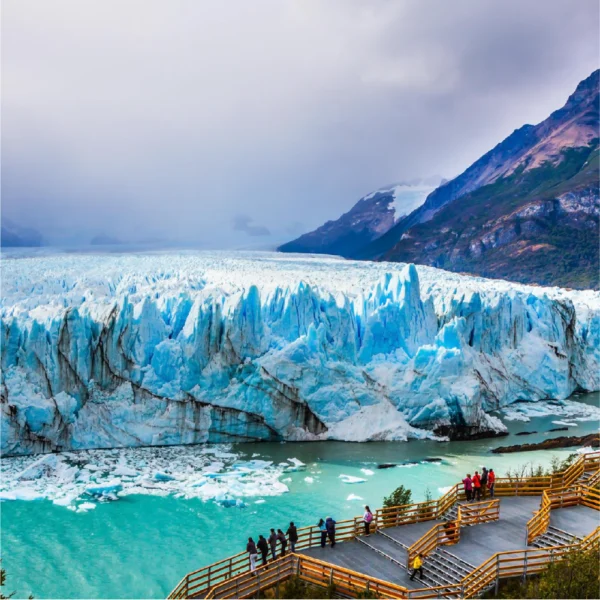 CALAFATE