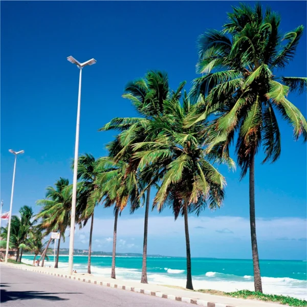 MACEIÓ - Image 2