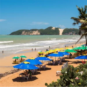 NATAL - NOVIEMBRE 2025